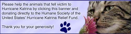 Help the animals recover from Hurricane Katrina through the HSUS' Relief Fund!